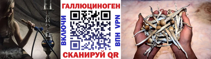 Галлюциногенные грибы Psilocybe  omg   Кодинск 